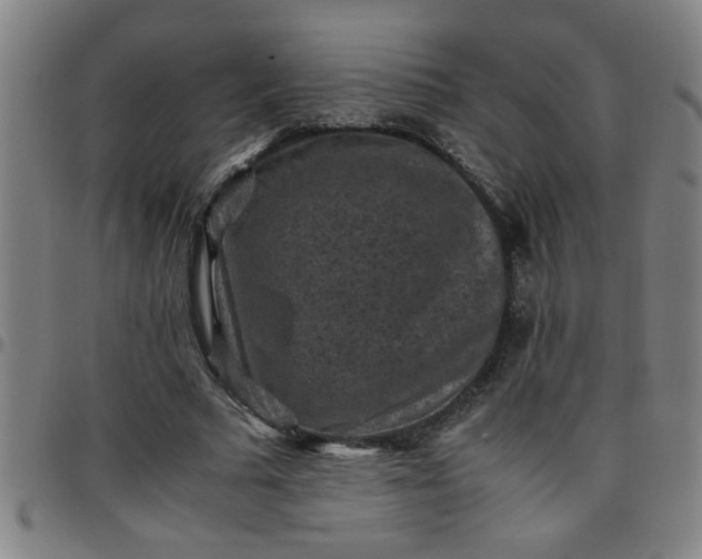 X0000097460681200803071632