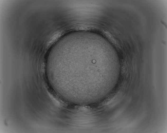 X0000097460683200803071632