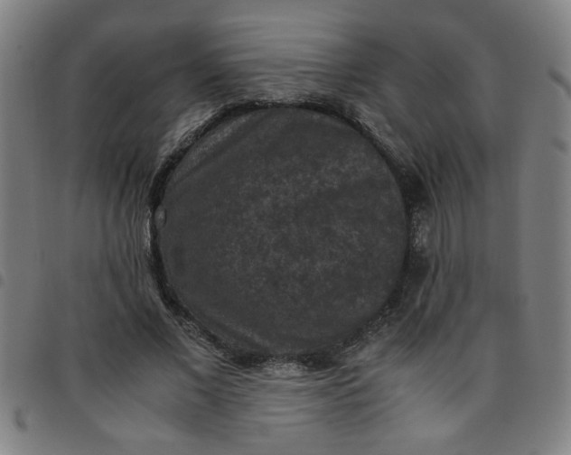 X0000097460685200803071632