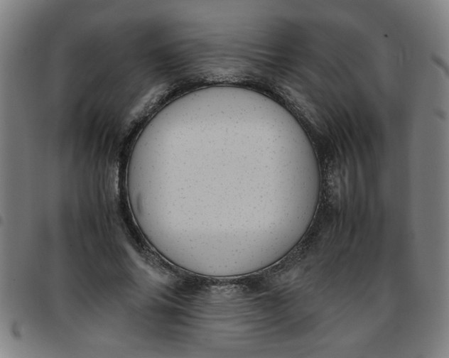 X0000097460686200803071632