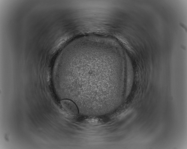 X0000097460687200803071632