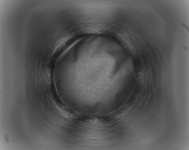 X0000097460688200803071632