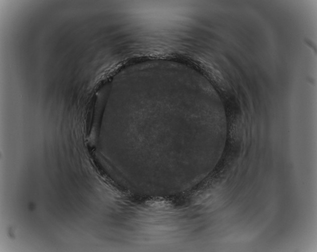 X0000097460689200803071631