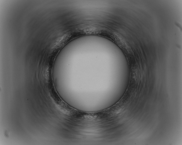 X0000097460690200803071631