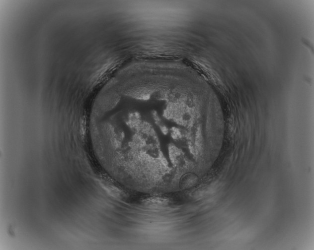 X0000097460691200803071631