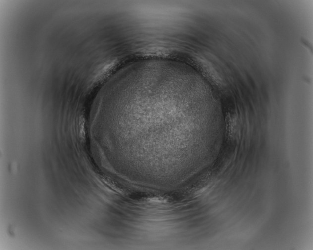 X0000097460692200803071631