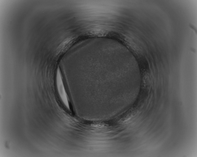 X0000097460693200803071631