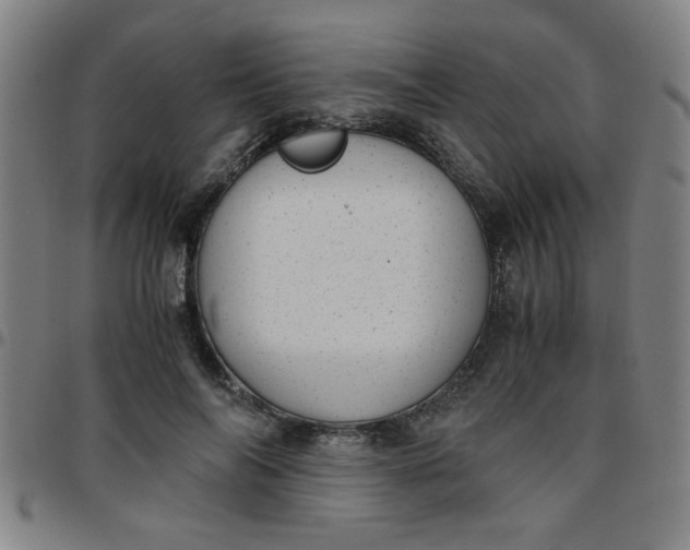 X0000097460694200803071631