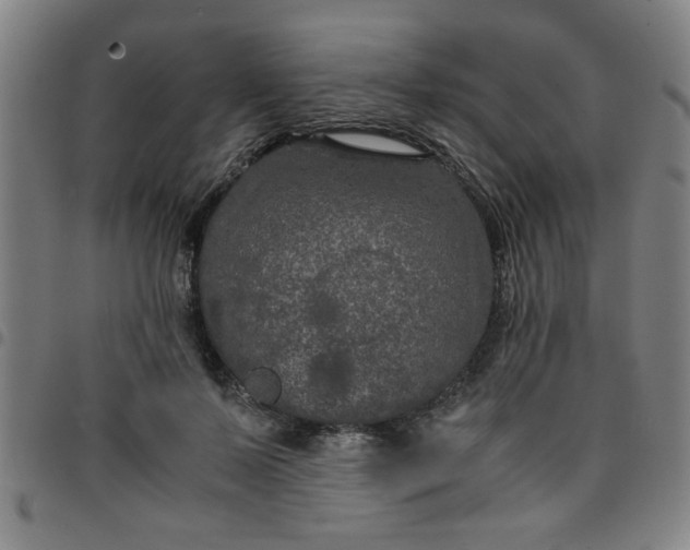 X0000097460695200803071631