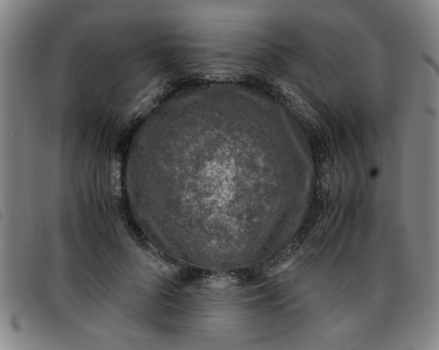 X0000097460696200803071631