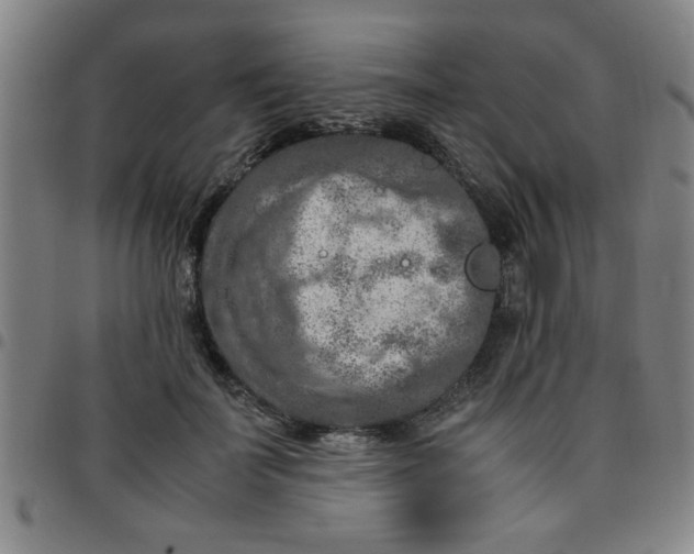 X0000097460699200803071631