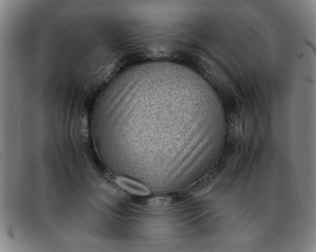 X0000097460700200803071631