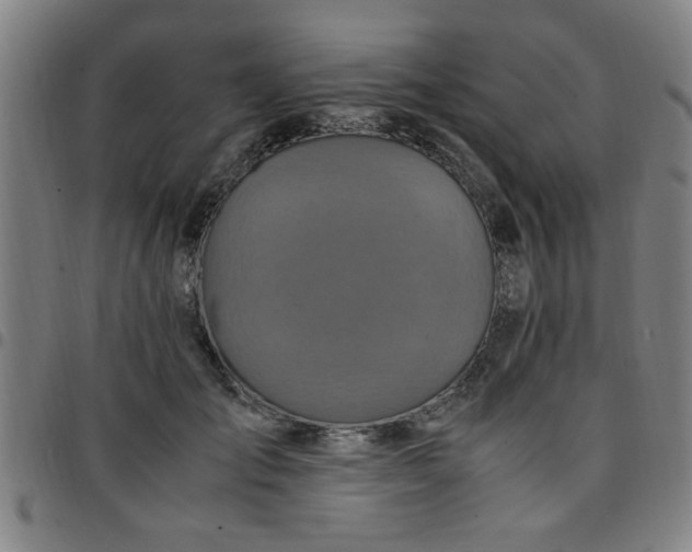 X0000097460701200803071631