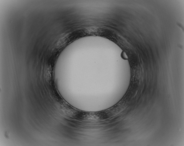 X0000097460702200803071631