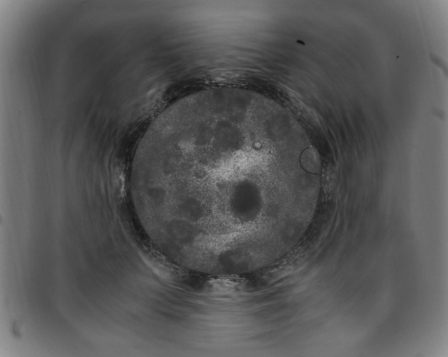 X0000097460703200803071631