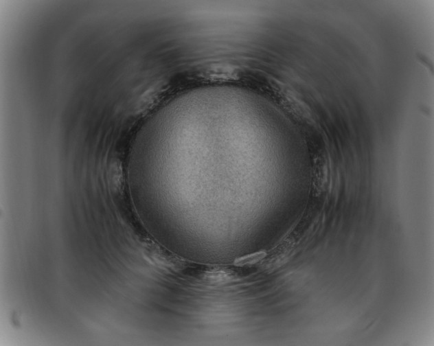 X0000097460704200803071631