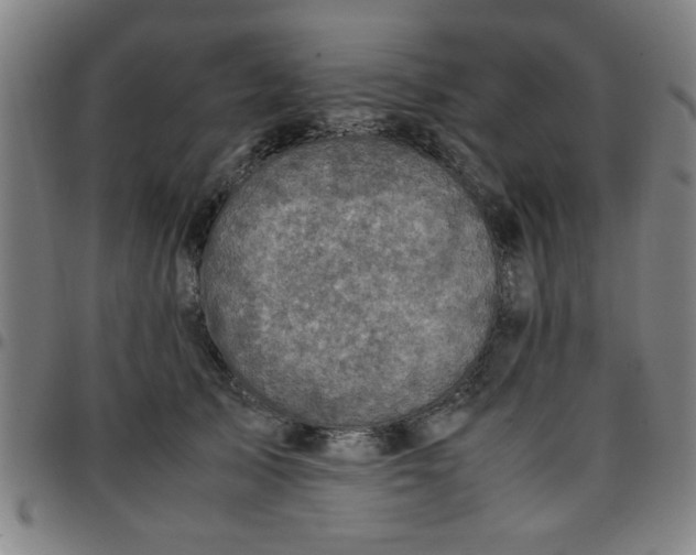 X0000097460705200803071631