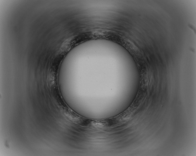 X0000097460706200803071631