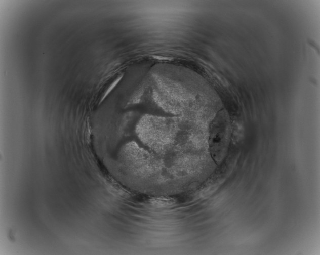 X0000097460707200803071631