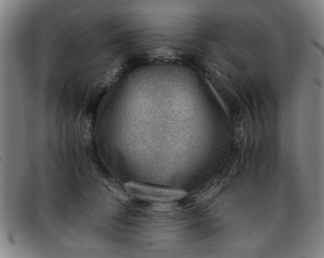 X0000097460708200803071631