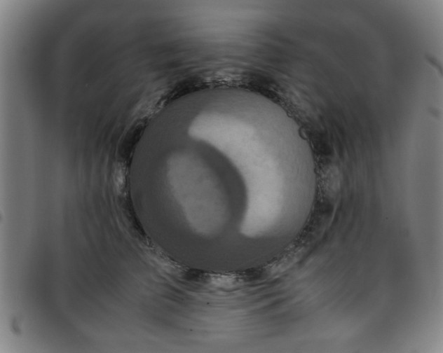 X0000097460709200803071631