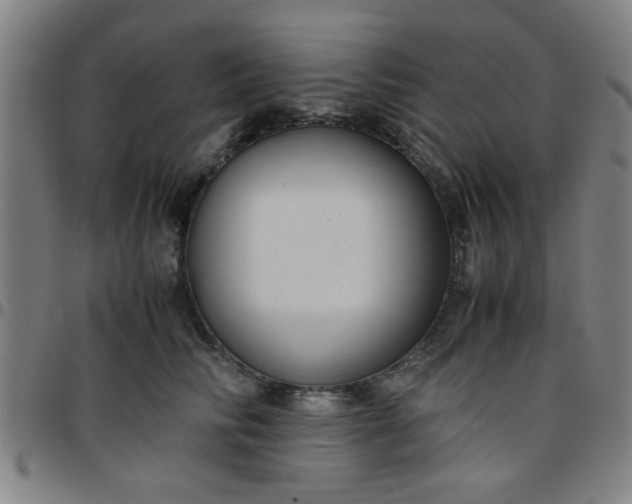 X0000097460710200803071631