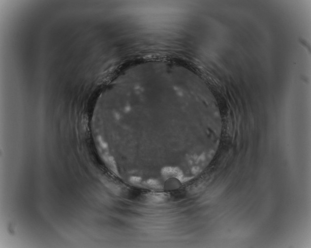 X0000097460711200803071631