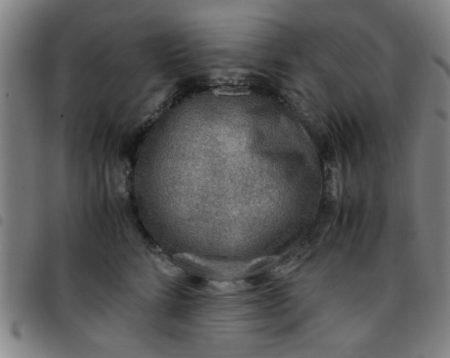 X0000097460712200803071631