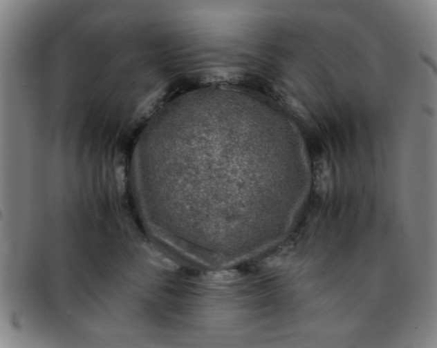 X0000097460716200803071631