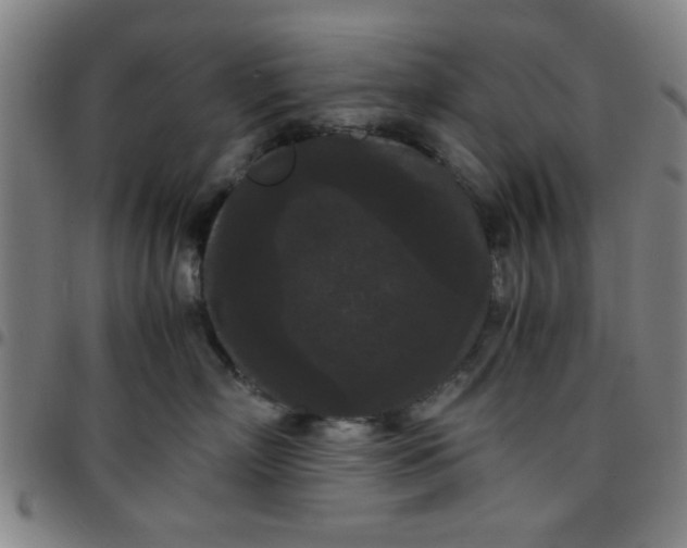 X0000097460718200803071631