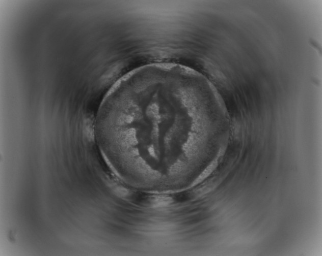 X0000097460719200803071631