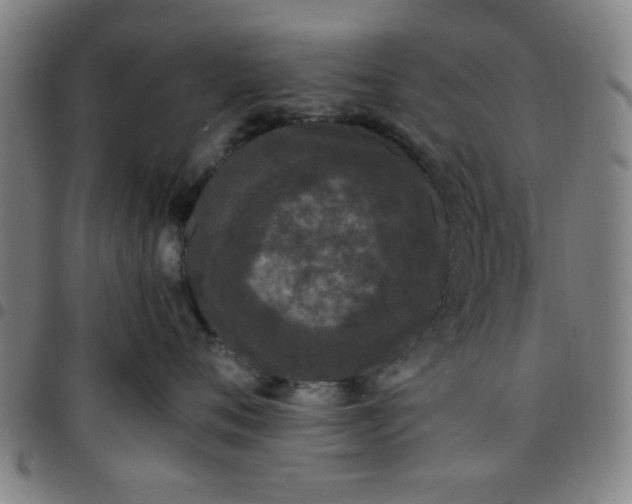 X0000097460720200803071631