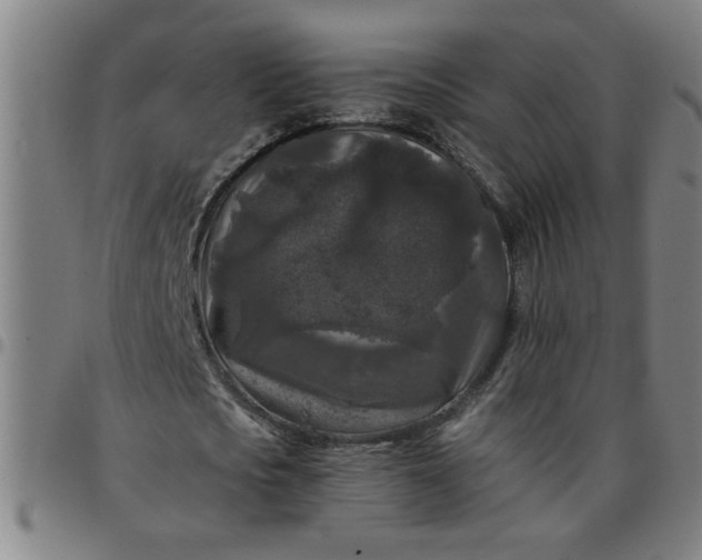 X0000097460721200803071630