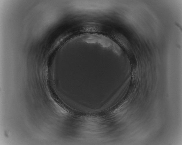 X0000097460722200803071630