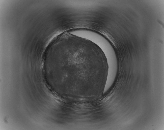 X0000097460723200803071630