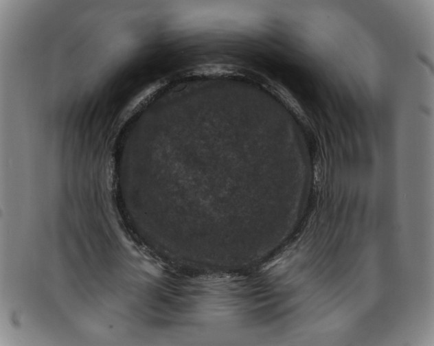 X0000097460724200803071630