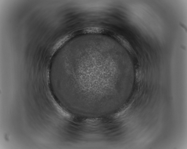 X0000097460725200803071630