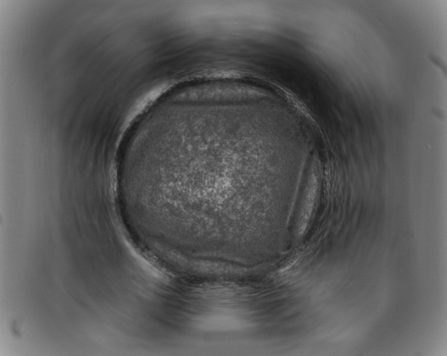 X0000097460726200803071630