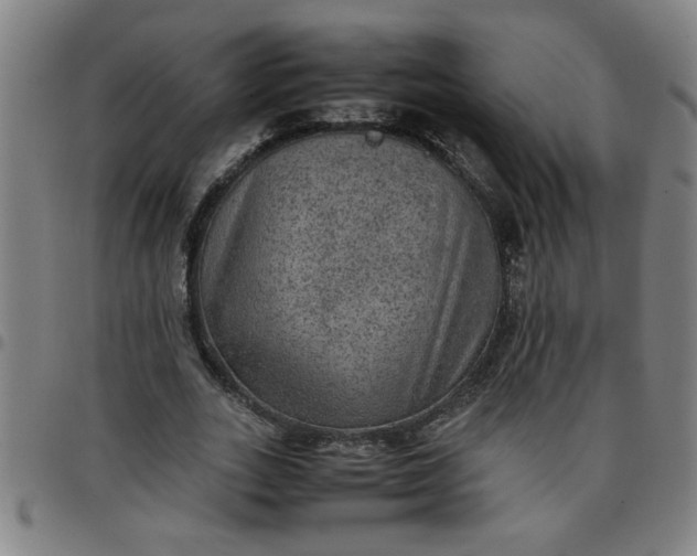 X0000097460727200803071630