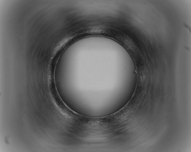 X0000097460728200803071630