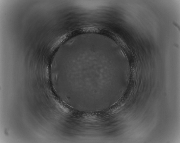 X0000097460729200803071631