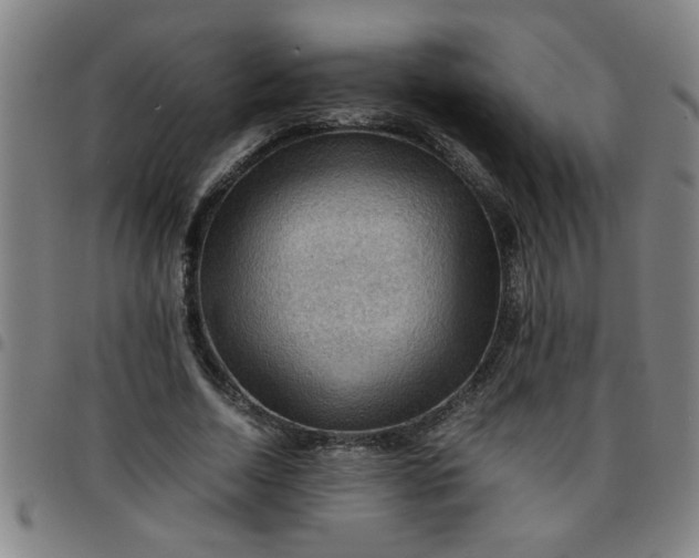 X0000097460730200803071631