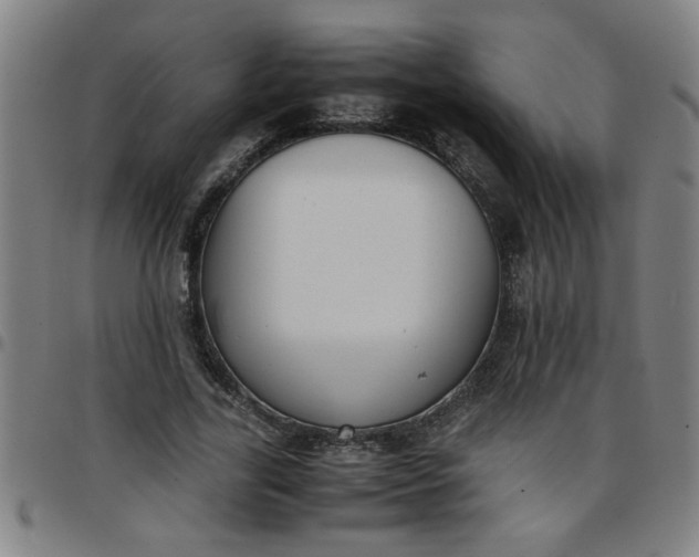 X0000097460731200803071631