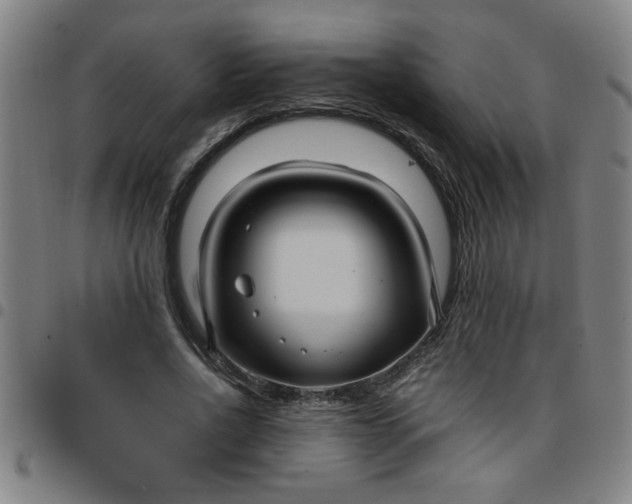 X0000097460734200803071631