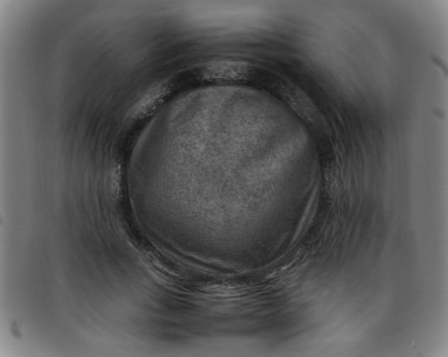 X0000097460735200803071631