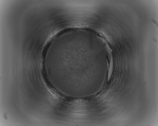 X0000097460736200803071631