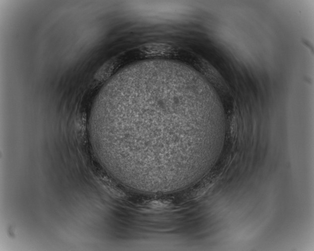 X0000097460737200803071631