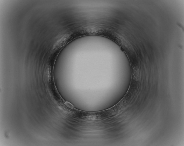 X0000097460740200803071631