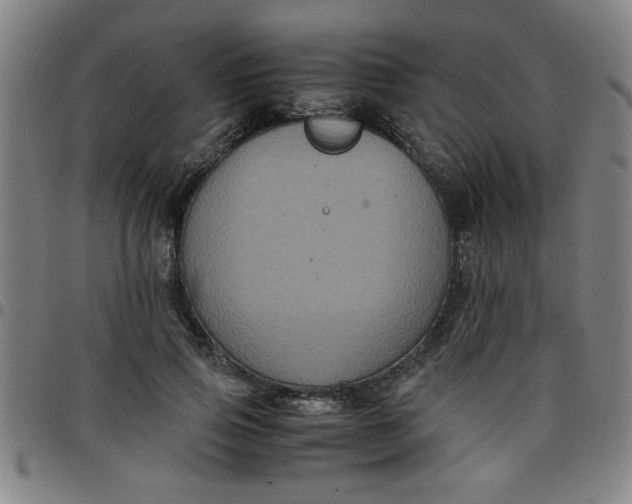 X0000097460741200803071631