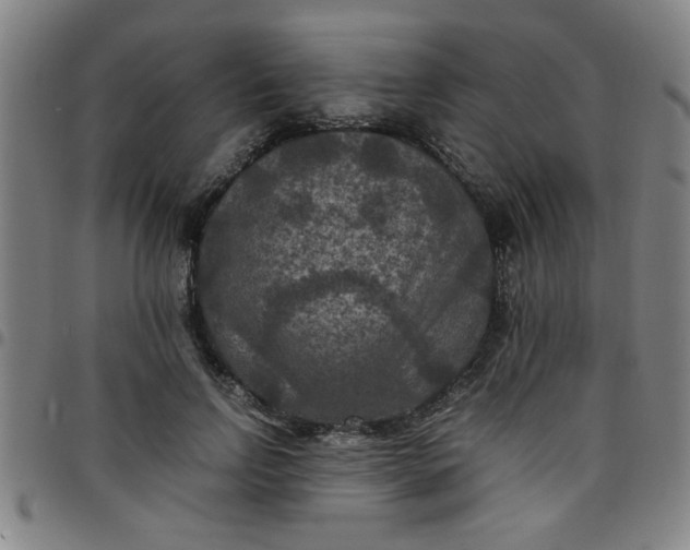 X0000097460742200803071631